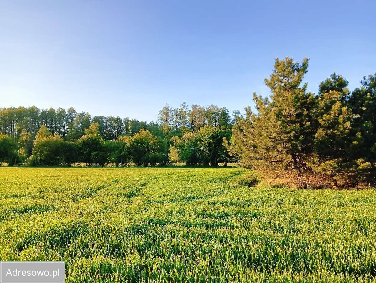Działka budowlana Cykowo. Zdjęcie 4