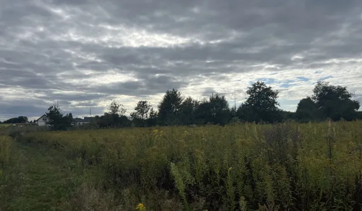 Działka rolno-budowlana Sadków