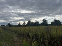 Działka rolno-budowlana Sadków