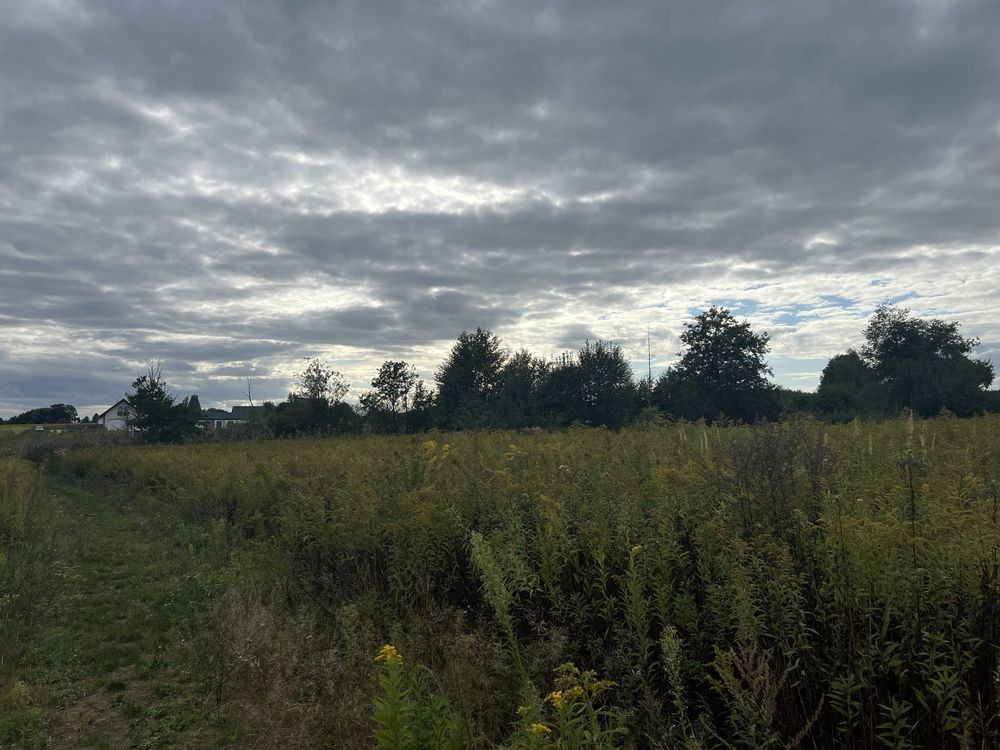 Działka rolno-budowlana Sadków