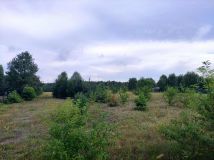 Działka rolno-budowlana Jacentów