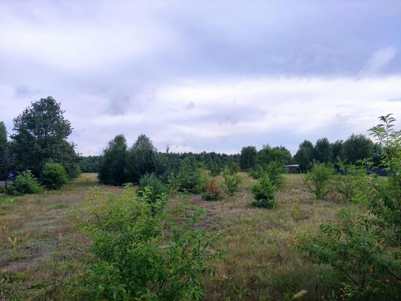 Działka rolno-budowlana Jacentów