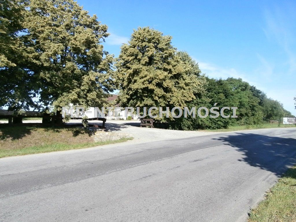 Lokal Miłomłyn. Zdjęcie 3