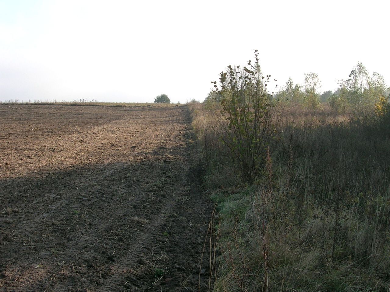 Działka rolna Strużyna. Zdjęcie 14