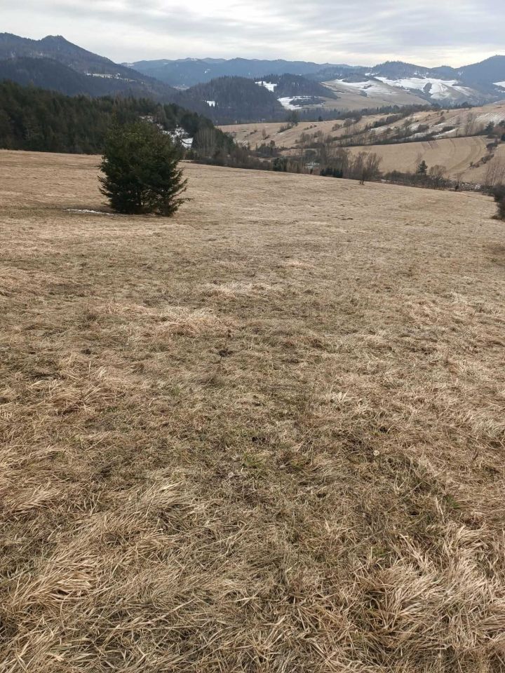 Działka rolna Sromowce Niżne. Zdjęcie 6