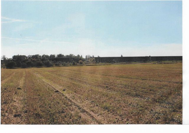 Działka rolna Słońsk Dolny. Zdjęcie 1