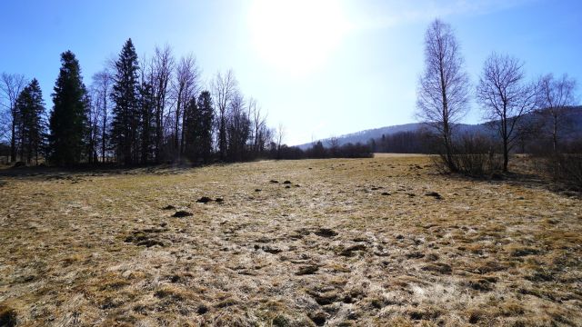 Działka rolna Regietów. Zdjęcie 6