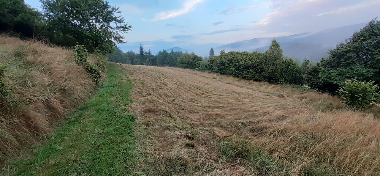 Działka rolna Pewel Wielka. Zdjęcie 7