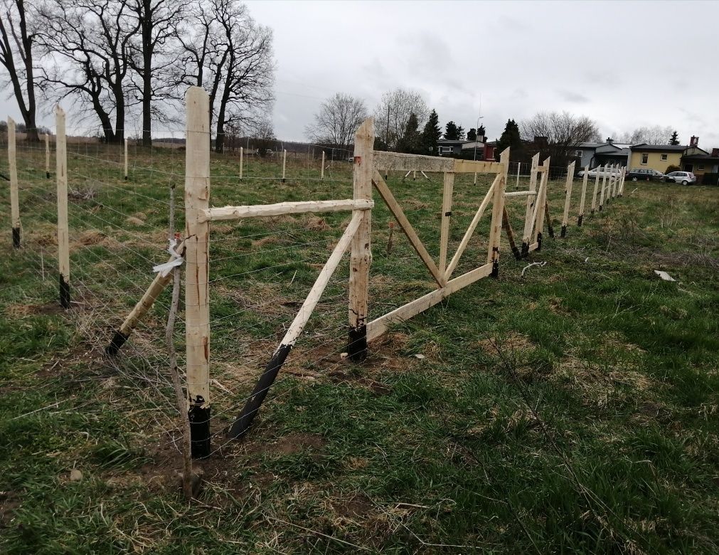 Działka budowlana Reblino. Zdjęcie 2