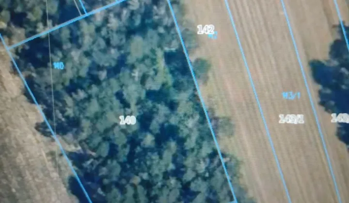 Działka leśna Korabie