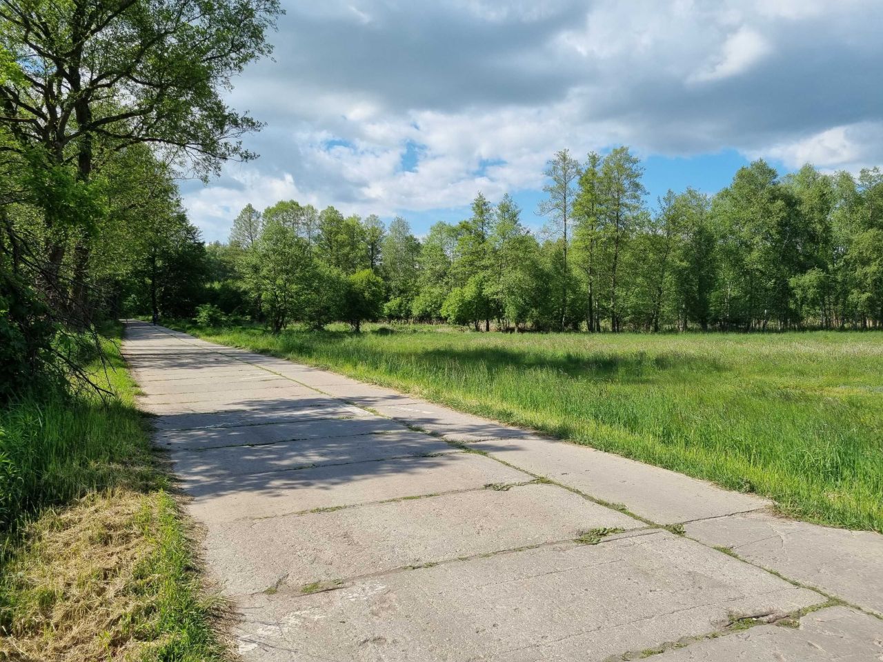 Działka rod Potrzanowo. Zdjęcie 6