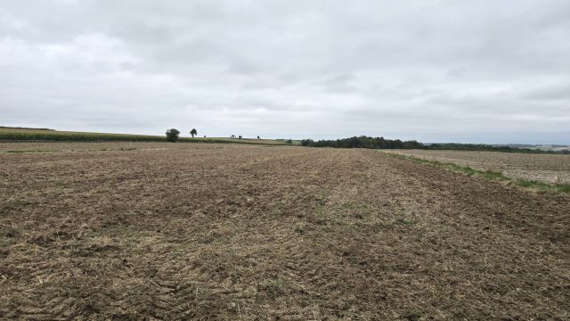 Działka rolno-budowlana Tokarówka. Zdjęcie 1