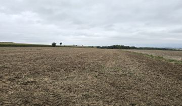 Działka rolno-budowlana Tokarówka