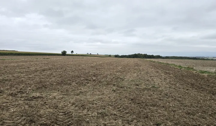 Działka rolno-budowlana Tokarówka