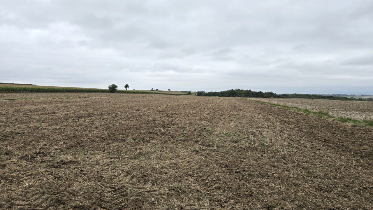 Działka rolno-budowlana Tokarówka