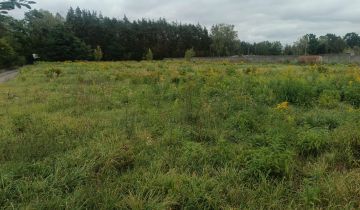 Działka rolno-budowlana Szczęsna, ul. Porzeczkowa