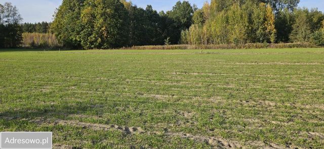 Działka budowlana Nowa Pogorzel, ul. Długa. Zdjęcie 1