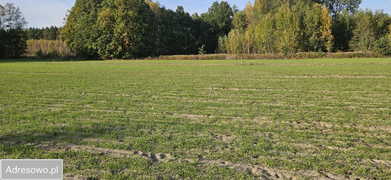 Działka budowlana Nowa Pogorzel, ul. Długa