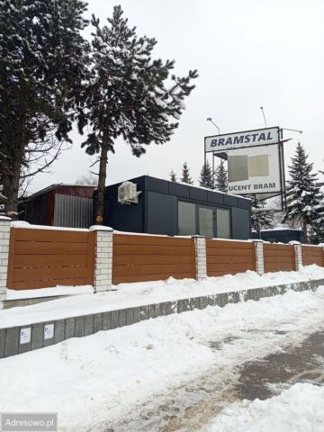 Lokal Kielce Sieje, ul. Wincentego Witosa. Zdjęcie 1