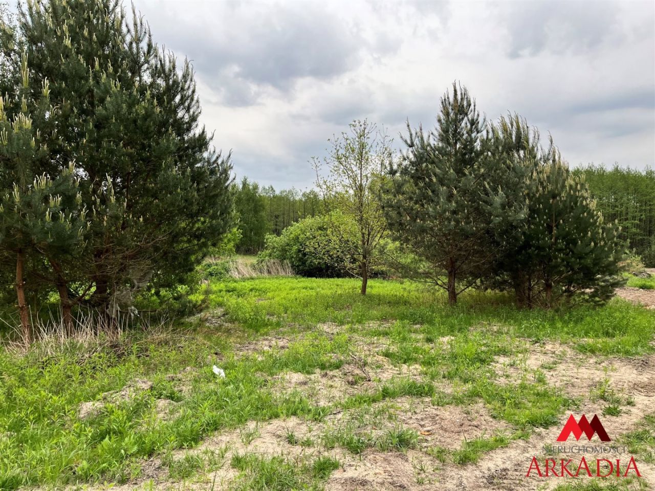 Działka budowlana Osiek. Zdjęcie 4