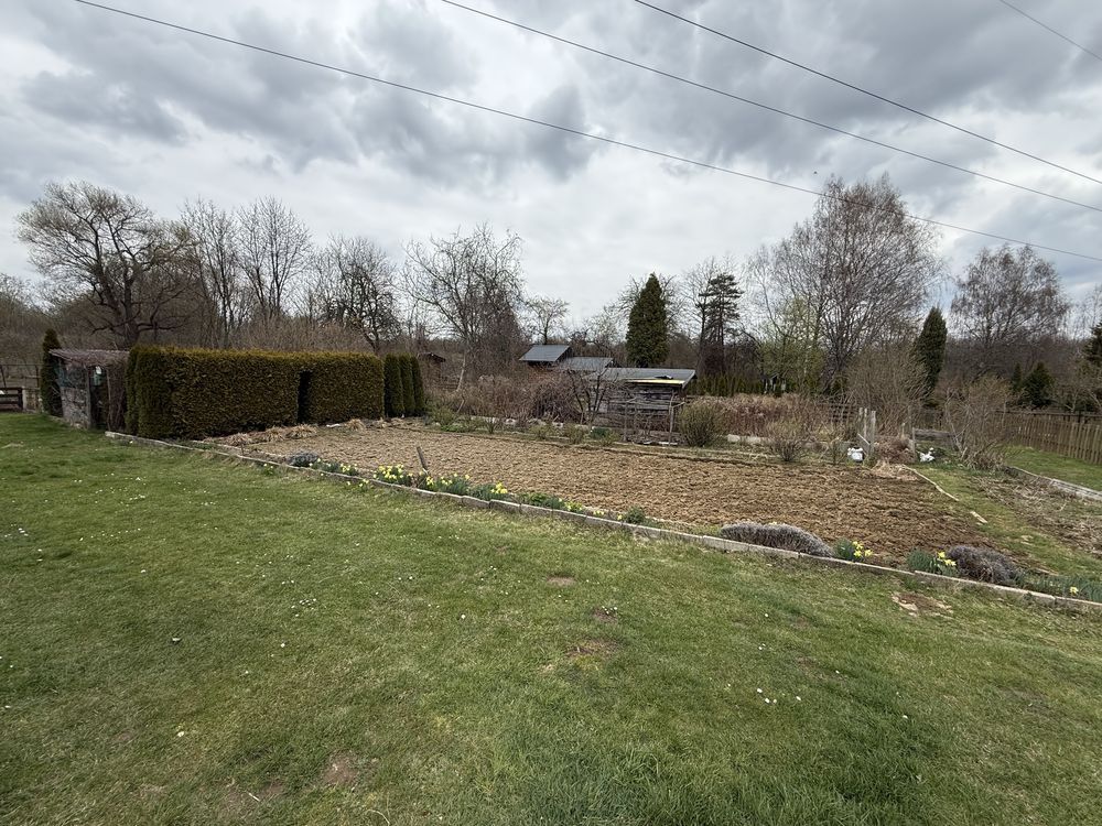 Działka rod Przysucha. Zdjęcie 4