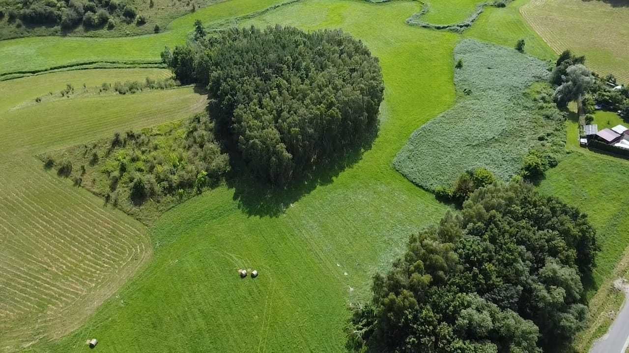Działka rolna Stara Biała. Zdjęcie 5