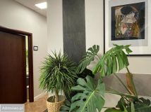 Lokal Kraków Krowodrza, ul. Kazimierza Wielkiego. Zdjęcie 2