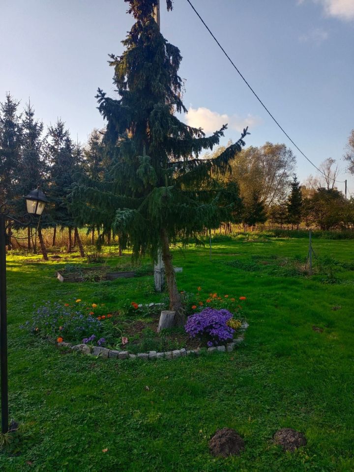 Działka budowlana Janowo. Zdjęcie 6