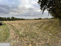 Działka rolno-budowlana Żytna, ul. Sobieskiego. Zdjęcie 2