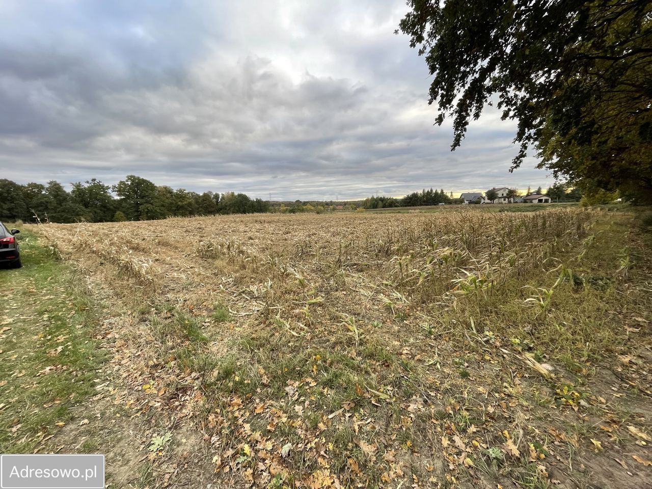 Działka rolno-budowlana Żytna, ul. Sobieskiego. Zdjęcie 3