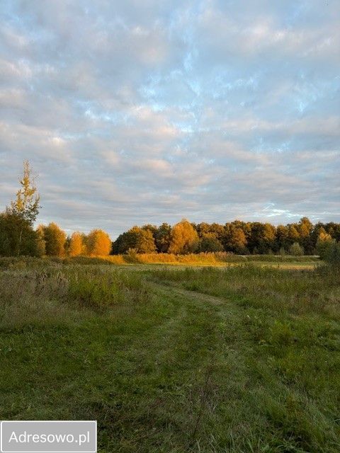 Działka budowlana Strzelce. Zdjęcie 6