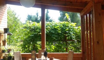 Działka rod Gniezno, ul. Północna