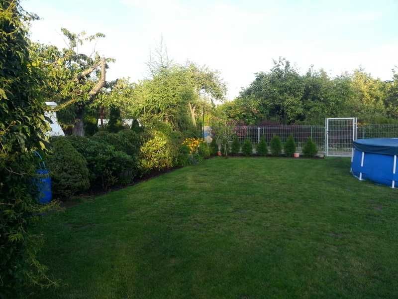 Działka rod Poznań Winiary, ul. Dojazd. Zdjęcie 5