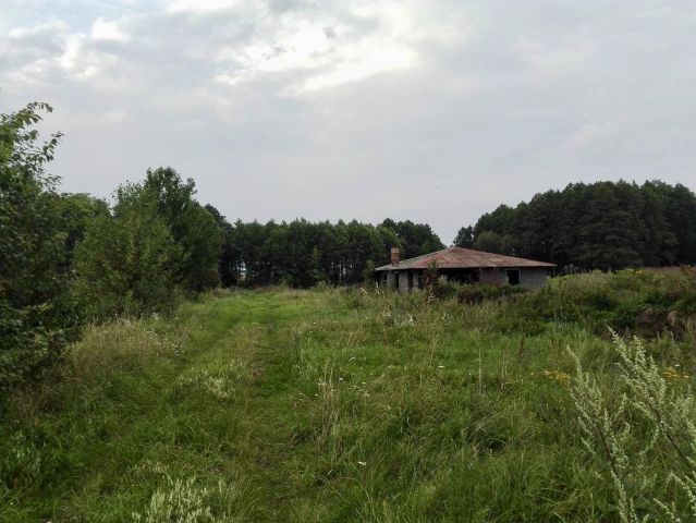 Działka rolna Kraśniany. Zdjęcie 1