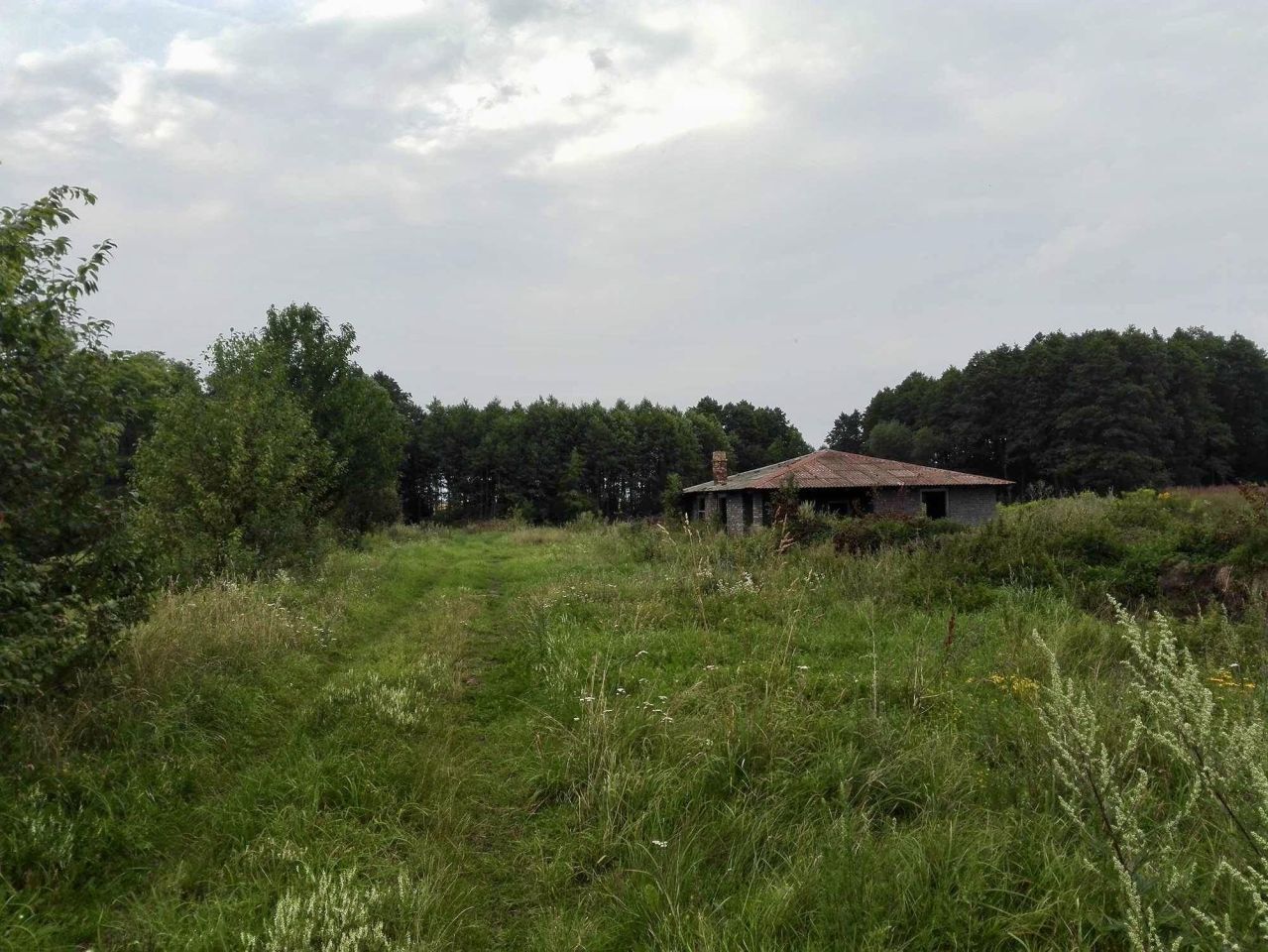 Działka rolna Kraśniany