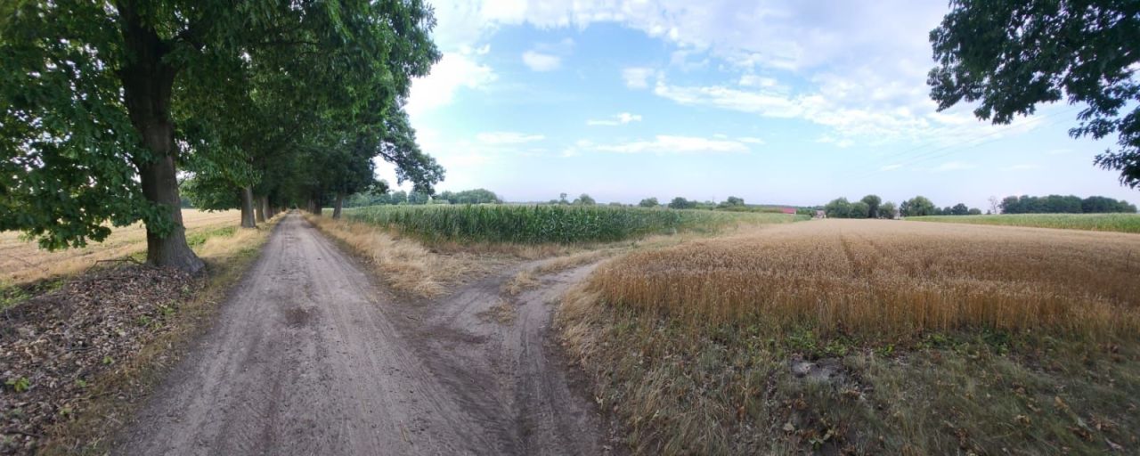 Działka budowlana Dziadów Most. Zdjęcie 2