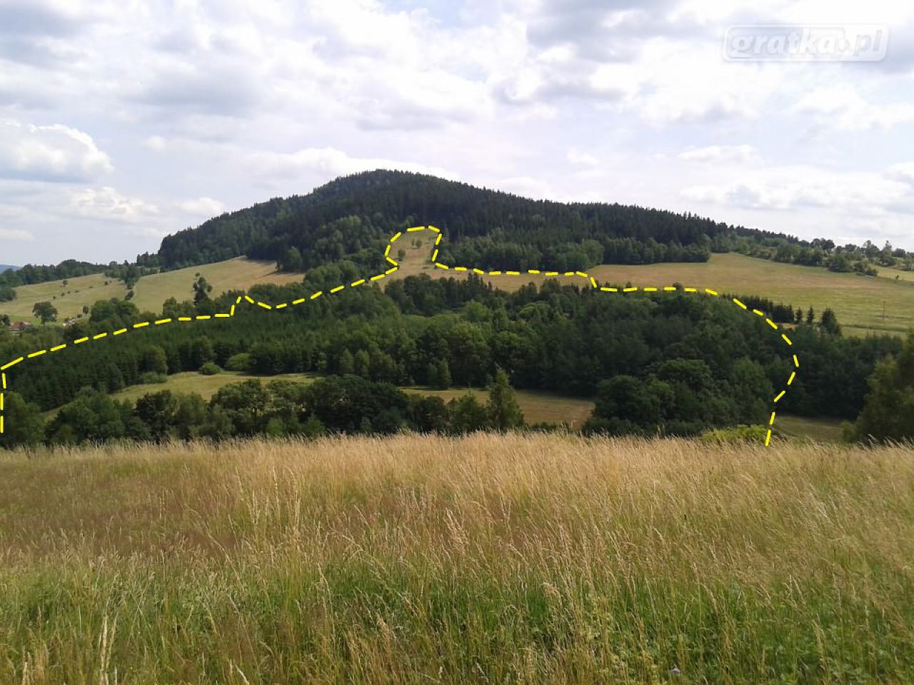 Działka rolno-budowlana Świerki