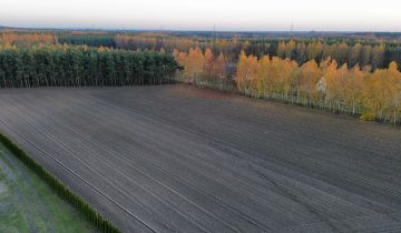 Działka budowlana Adamów