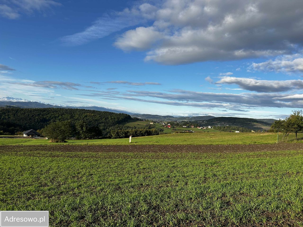 Działka budowlana Brzezna