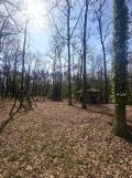 Działka leśna Tłokinia Wielka. Zdjęcie 3