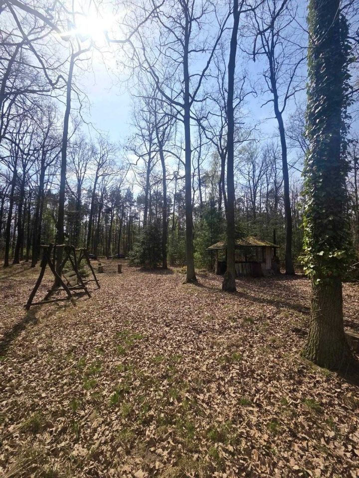 Działka leśna Tłokinia Wielka. Zdjęcie 4