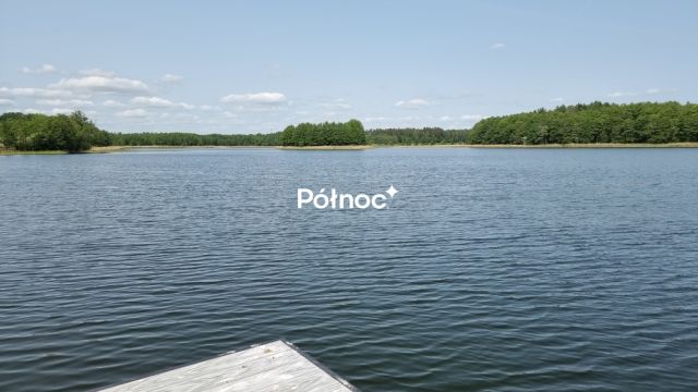 Działka rolna Cisy. Zdjęcie 4