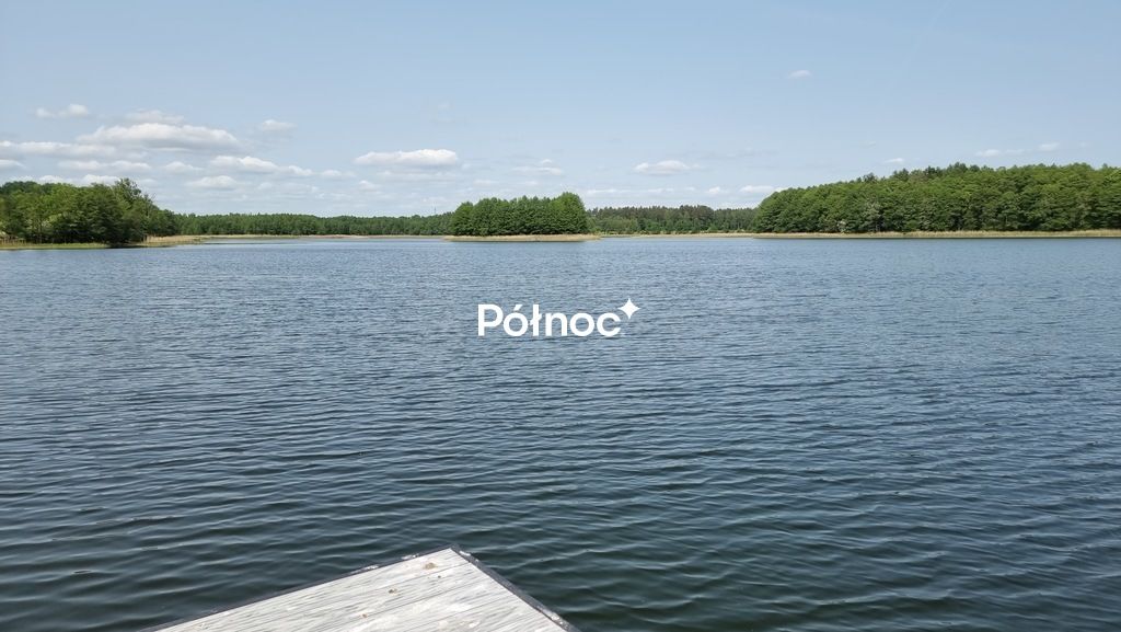 Działka rolna Cisy. Zdjęcie 4