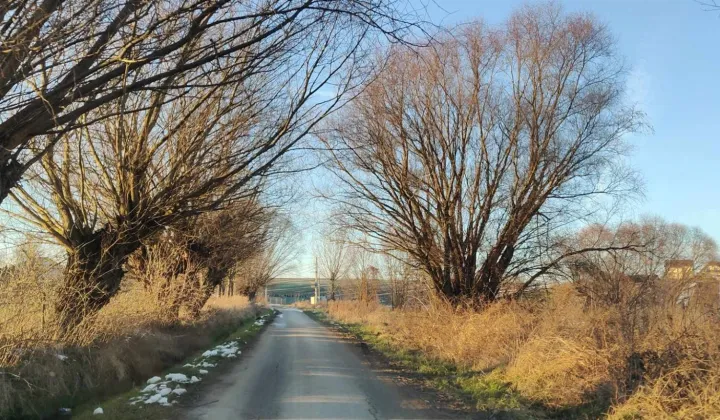 Działka budowlana Piotrkowice Małe