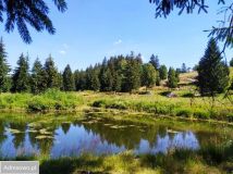 Działka rekreacyjna Piaskowice. Zdjęcie 3