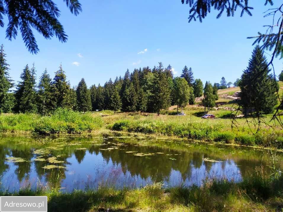 Działka rekreacyjna Piaskowice. Zdjęcie 4