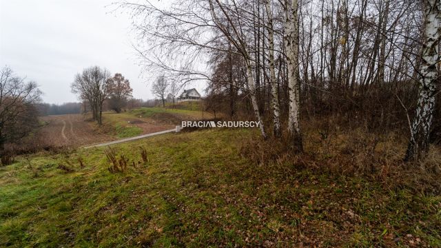 Działka rolna Podstolice. Zdjęcie 8