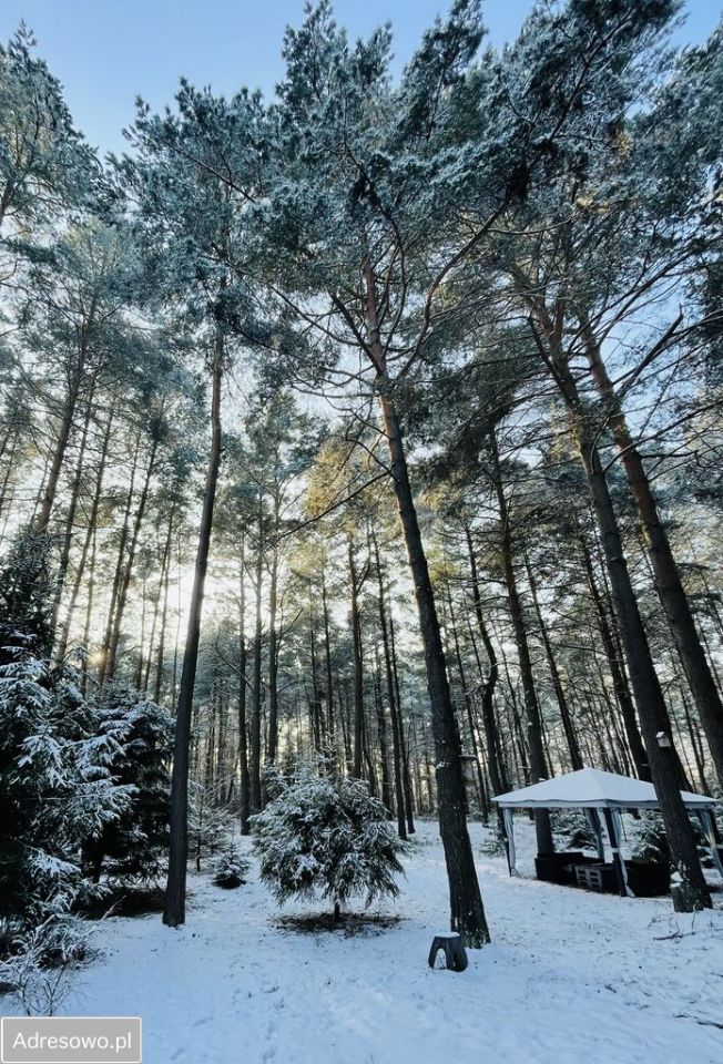 Działka rekreacyjna Ldzań. Zdjęcie 9