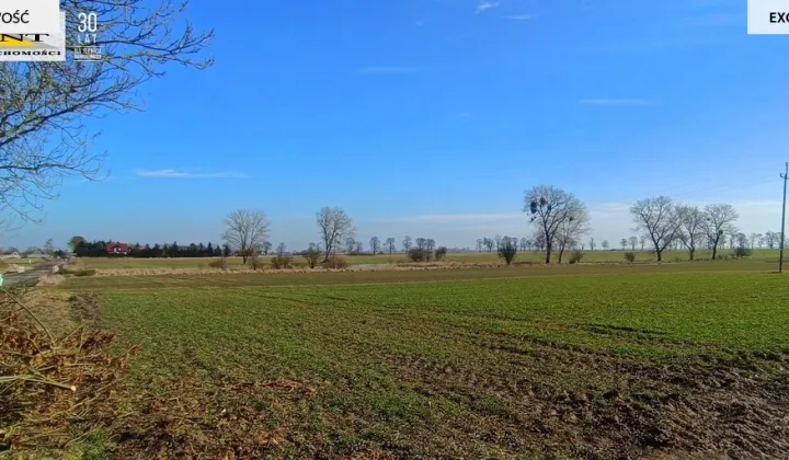 Działka siedliskowa Parsów