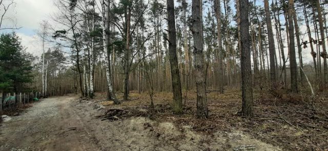 Działka budowlana Henryków-Urocze. Zdjęcie 5